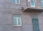 İcarəyə verilir 8 otaqlı 210 m2 obyekt 28 May m.