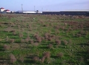 İcarəyə verilir 3 otaqlı 130 m2 yeni tikili İnşaatçılar m.