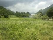 Satılır 20 sot torpaq İsmayıllı