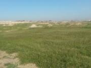 Satılır 0 sot torpaq Türkan