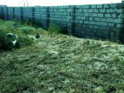 Satılır 10 sot torpaq Türkan