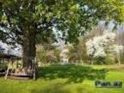 Satılır 10 sot torpaq Şabran