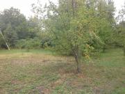 Satılır 15 sot torpaq İsmayıllı