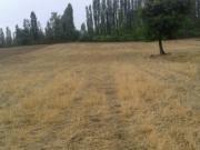 Satılır 311 sot torpaq Xaçmaz