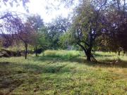 Satılır 12 sot torpaq İsmayıllı