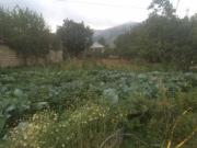 Satılır 1400 sot torpaq Xızı