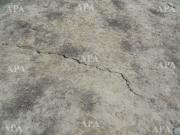 Satılır 200 sot torpaq Məhəmmədli