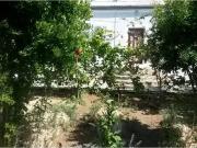 Satılır 4 otaqlı 5 m2 bağ evi Albalı