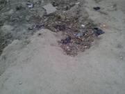 Satılır 2 sot torpaq Bülbülə