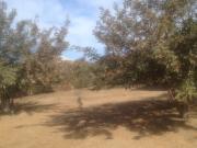 Satılır 0 sot torpaq Saray