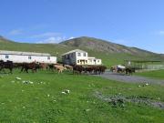 Satılır 10 otaqlı 100 m2 köhnə tikili Daşkəsən