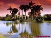 İcarəyə verilir 7 otaqlı 220 m2 bağ evi Qazax