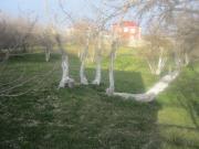 Satılır 4 otaqlı 120 m2 bağ evi Digah