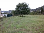 Satılır 24 sot torpaq Astara