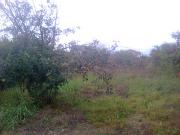 Satılır 8 sot torpaq Binə