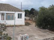 Satılır 25 sot torpaq Digah