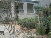 Satılır 3 otaqlı 143 m2 bağ evi Zığ