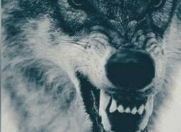 Satılır 6 sot torpaq Bakıxanov