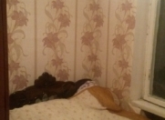 İcarəyə verilir 2 otaqlı 45 m2 köhnə tikili Montin