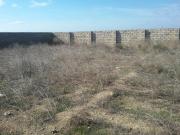 Satılır 10 sot torpaq Binə