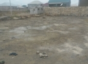 Satılır 300 sot torpaq Zabrat 2