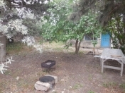 Satılır 2 otaqlı 50 m2 bağ evi Albalı