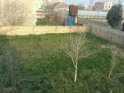 Satılır 500 sot torpaq Binə