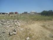 Satılır 250 sot torpaq Binə