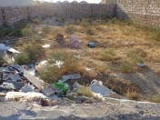 Satılır 200 sot torpaq Zabrat 1