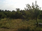 Satılır 10 sot torpaq Zaqatala