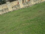 Satılır 0 otaqlı 8 m2 bağ evi Masallı