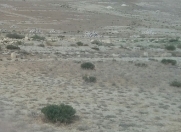 Satılır 8 sot torpaq Qobu