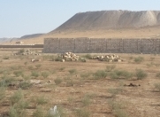 Satılır 8 sot torpaq Qobu