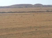 Satılır 7 sot torpaq Qobu