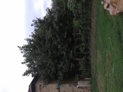 Satılır 6 otaqlı 64 m2 köhnə tikili Qusar