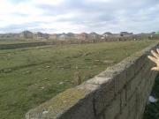 Satılır 2000 sot torpaq Məhəmmədli