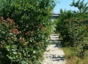 Satılır 0 otaqlı 0 m2 həyət evi Xudat