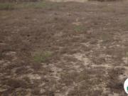 Satılır 2 sot torpaq Savalan