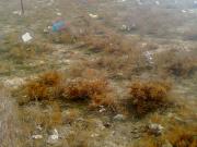 Satılır 10 sot torpaq Müşfiqabad