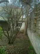 Satılır 4000 sot torpaq Bakıxanov