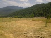 Satılır 30 sot torpaq Xızı