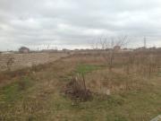 Satılır 12000 sot torpaq Kürdəxanı