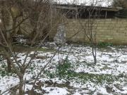 Satılır 3 sot torpaq Zabrat 2