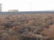 Satılır 100 sot torpaq Sahil