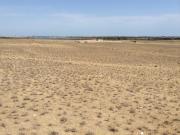 Satılır 8 sot torpaq Güzdək