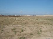 Satılır 100 sot torpaq Şah İsmayıl Xətai m.