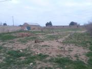 Satılır 72 sot torpaq Türkan