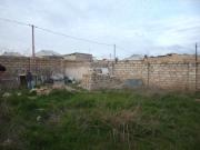 Satılır 600 sot torpaq Qala