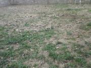 Satılır 2 sot torpaq Qaraçuxur