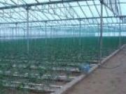 Satılır 160 sot torpaq Həzi Aslanov m.